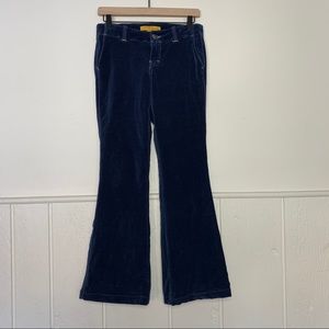 Twill Twenty Two Navy Blue Velvet Pants 26